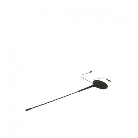 9653389980 ANTENNA CON UN GANCIO DANNEGGIATO CITROEN C2 (2004) 1.1 BENZINA 44KW 3P